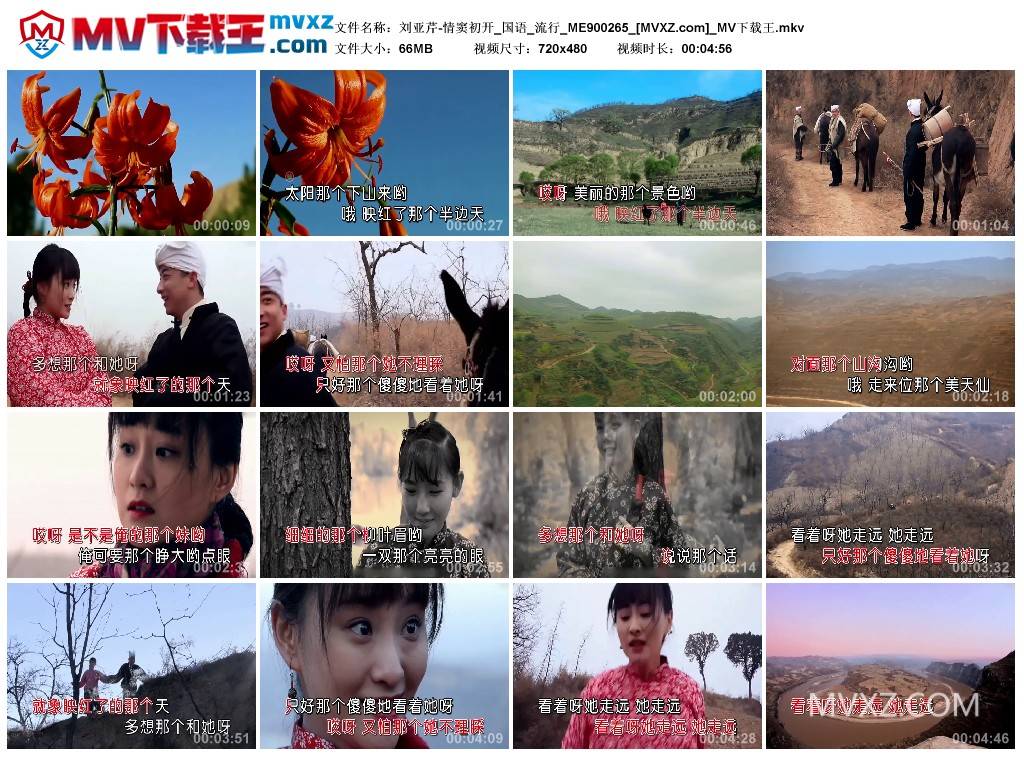 刘亚芹-情窦初开_国语_流行_ME900265